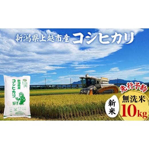 ふるさと納税 米 コシヒカリ 新潟県 上越市 先行予約 令和8年 新米 新潟県上越市産 無洗米 コシヒカリ 10kg (5kg×2袋)お米 コメ こしひかり ふぁーむ大地