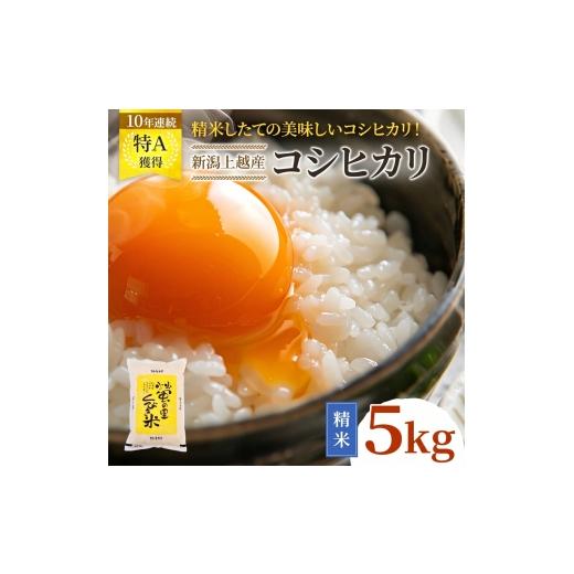 ふるさと納税 米 コシヒカリ 新潟県 上越市 令和8年産 10月配送 新潟県上越市産 コシヒカリ 5kg 先行予約 新米 蛍の里