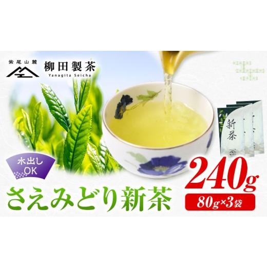ふるさと納税 お茶類 緑茶(茶葉・ティーバッグ) 鹿児島県 さつま町 若蒸煎茶 さえみどり 新茶 80g×3袋 柳田製茶[5月上旬より順次出荷予定(土日祝除く)]鹿…