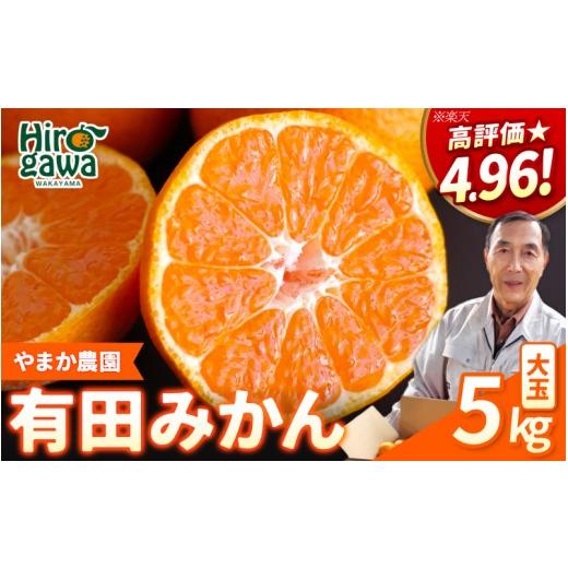 ふるさと納税 果物類 みかん 和歌山県 広川町 有田 みかん 大玉 5kg / 温州みかん 有田みかん 甘い 和歌山 柑橘 2026年12月上旬〜翌年1月中旬に順次発送 ymk0…