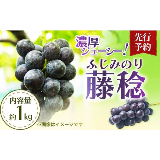 ふるさと納税 果物類 ぶどう 埼玉県 杉戸町 黒ぶどう 藤稔 1kg 先行予約 | ぶどう ブドウ 葡萄 黒ぶどう 黒ブドウ 黒葡萄 藤稔 ふじみのり 果物 フルーツ 旬 …
