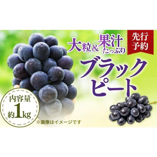 ふるさと納税 果物類 ぶどう 埼玉県 杉戸町 黒ぶどう ブラックビート 1kg 先行予約 | ぶどう ブドウ 葡萄 黒ぶどう 黒ブドウ 黒葡萄 ブラックビート 果物 フル…