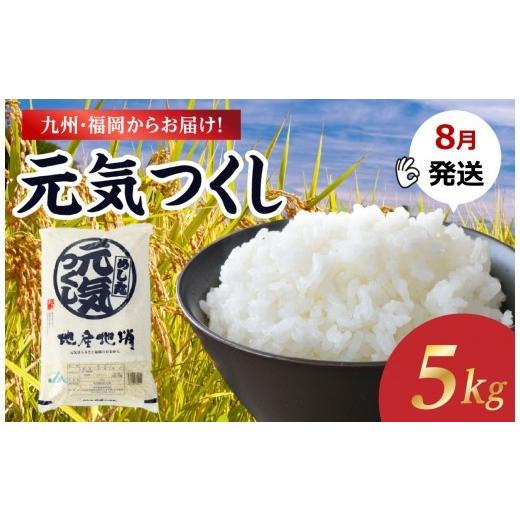 ふるさと納税 米 福岡県 八女市 2026年8月発送 九州・福岡からお届け ブランド米「元気つくし」5kg×1袋 お米 米 コメ 白米 特A 直送 お弁当 おにぎり 炊きた…