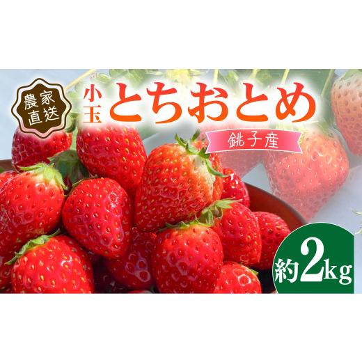 ふるさと納税 いちご 千葉県 銚子市 いちご 先行予約 とちおとめ 小玉 約 2kg (250g × 8パック) 苺 ストロベリー 果物 フルーツ ジャム ケーキ いちご大福 シ…