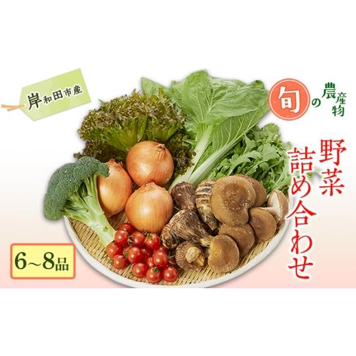 ふるさと納税 果物の詰合せ 大阪府 岸和田市 野菜 詰め合わせ 旬の野菜セット (6〜8品) 岸和田市産 産地直送 新鮮 農産物 国産 詰め合わせセット お取り寄せ …