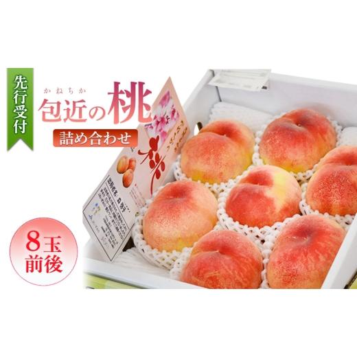 ふるさと納税 もも 大阪府 岸和田市 包近の桃 8玉前後 先行予約 桃 もも 詰め合わせ 数量限定 高糖度ブランド フルーツ 果物 モモ 旬 贈り物 ギフト 季節限定 …