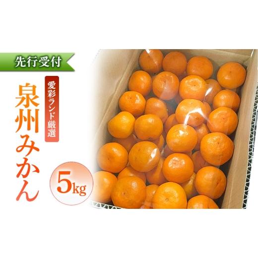 ふるさと納税 果物類 みかん 大阪府 岸和田市 泉州みかん 5kg 先行予約 愛彩ランド厳選 ミカン みかん 蜜柑 数量限定 フルーツ 果物 くだもの 柑橘 旬の味覚 …