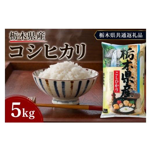 ふるさと納税 米 コシヒカリ 栃木県 矢板市 栃木県産 お米 白米 こしひかり 5kg | 栃木県 矢板市 栃木県共通返礼品 こしひかり 5kg | 8000円