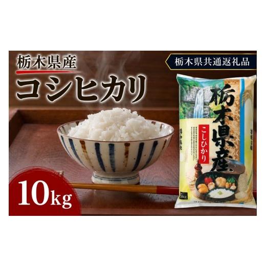 ふるさと納税 米 コシヒカリ 栃木県 矢板市 栃木県産 お米 白米 こしひかり 10kg | 栃木県 矢板市 栃木県共通返礼品 こしひかり 10kg | 15800円