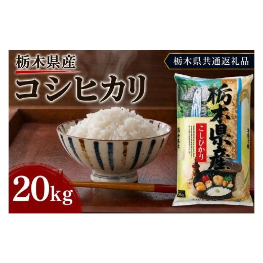 ふるさと納税 米 コシヒカリ 栃木県 矢板市 栃木県産 お米 白米 こしひかり 20kg | 栃木県 矢板市 栃木県共通返礼品 こしひかり 20kg | 40000円