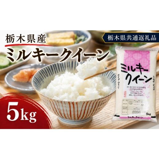 ふるさと納税 米 栃木県 矢板市 栃木県産 お米 白米 ミルキークイーン 5kg | 栃木県 矢板市 栃木県共通返礼品 ミルキークイーン 5kg | 10200円