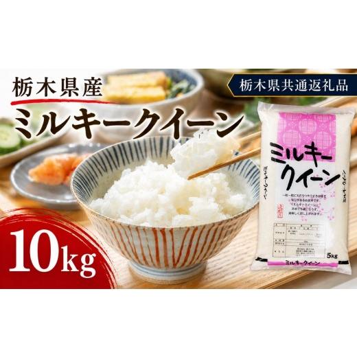ふるさと納税 米 ミルキークイーン 栃木県 矢板市 栃木県産 お米 白米 ミルキークイーン 10kg | 栃木県 矢板市 栃木県共通返礼品 ミルキークイーン 10kg | 20…