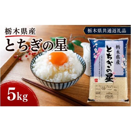 ふるさと納税 米 栃木県 矢板市 栃木県産 お米 白米 とちぎの星 5kg | 栃木県 矢板市 栃木県共通返礼品 とちぎの星 5kg | 9600円