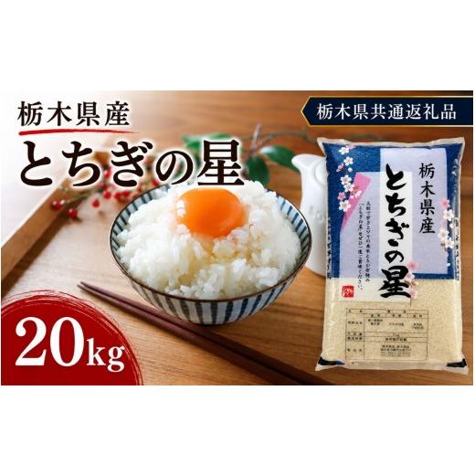 ふるさと納税 米 栃木県 矢板市 栃木県産 お米 白米 とちぎの星 20kg | 栃木県 矢板市 栃木県共通返礼品 とちぎの星 20kg | 38400円