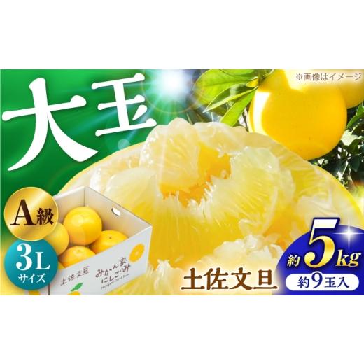 ふるさと納税 みかん・柑橘類 高知県 高知市 土佐文旦 約5kg 3Lサイズ 約9玉 A級品 [2027年2月上旬〜2027年3月末頃発送] / 文旦 大玉 3L 5kg 柑橘 果物 フ…