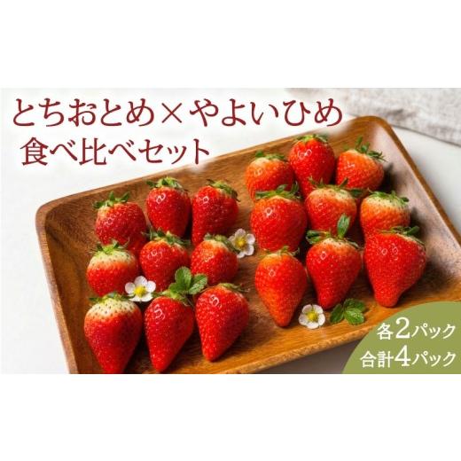 ふるさと納税 みかん・柑橘類 オレンジ 千葉県 銚子市 いちご 先行予約 とちおとめ やよいひめ 食べ比べセット 約 1kg (250g × 各2パック) 苺 ストロベリー …