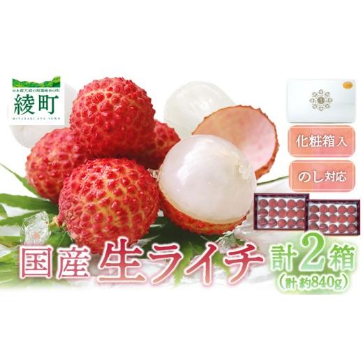 ふるさと納税 果物類 宮崎県 綾町 先行予約/数量限定 希少 国産 綾生ライチ 2箱セット(化粧箱入り) 宮崎県 綾町産 ライチ 贈答 ギフト プレゼント 国産ラ…