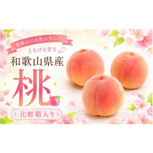 ふるさと納税 もも 和歌山県 太地町 和歌山の厳選白桃 約0.75kg 白鳳・清水白桃・川中島・もも・はくとう 化粧箱入り 2026年7月中に順次発送 日付指定不可 ikd…