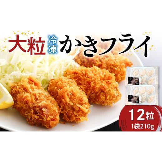 ふるさと納税 牡蠣 広島県 呉市 広島冷凍大粒かきフライ 12粒(6粒×2袋) 矢野水産