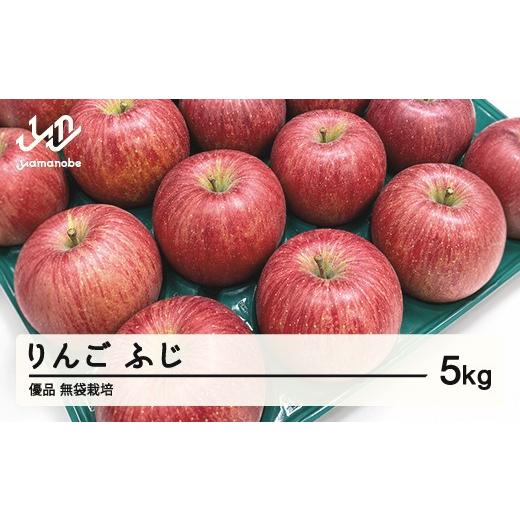 ふるさと納税 りんご 山形県 山辺町 [先行予約]2026年 山形県産 令和8年 大玉 ふじりんご 5kg 無袋栽培 沖縄・離島への配送不可 ts-rifox5