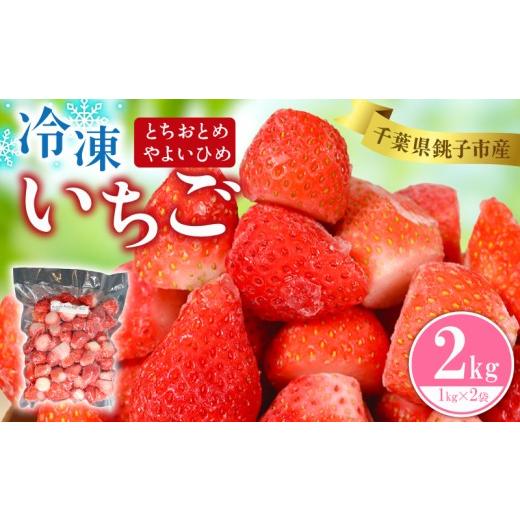ふるさと納税 マンゴー 千葉県 銚子市 冷凍いちご 2kg ( 1kg × 2袋 ) とちおとめ やよいひめ 銚子 苺 いちご 真空パック 冷凍 フルーツ ジャム いちごジャム …