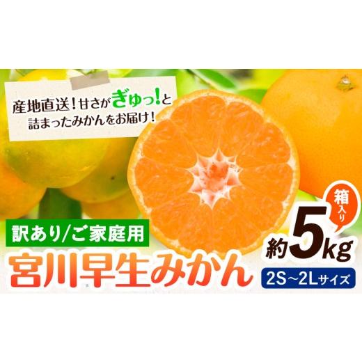 ふるさと納税 果物類 みかん 和歌山県 日高川町 訳あり 宮川 早生みかん 約 5kg (2S〜2Lサイズ) 笑いの里のTommyファーム[11月下旬-2027年1月上旬頃出荷]和…