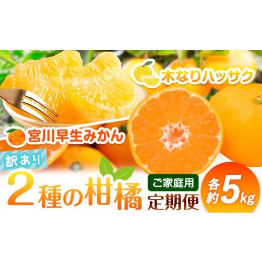 ふるさと納税 果物類 みかん 和歌山県 日高川町 発送月固定定期便 農家直送 ご家庭用 2種の柑橘定期便 訳あり 全2回 約 5kg 合計10kg 笑いの里のTommyファー…