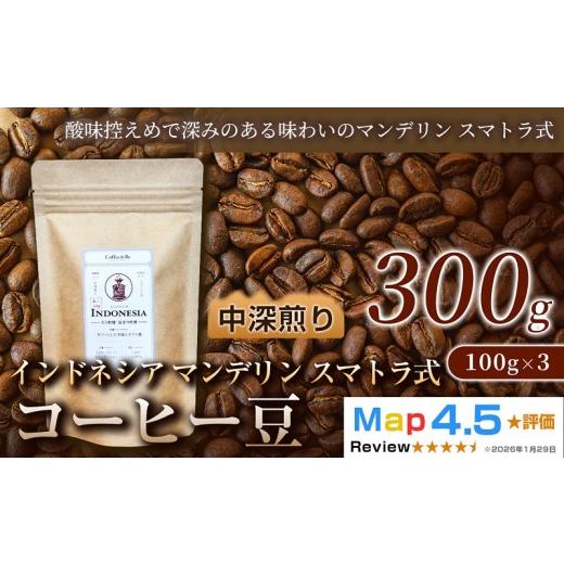 ふるさと納税 コーヒー コーヒー豆 埼玉県 加須市 マンデリン(100g×3袋)×1セット (100g×3袋)×1セット
