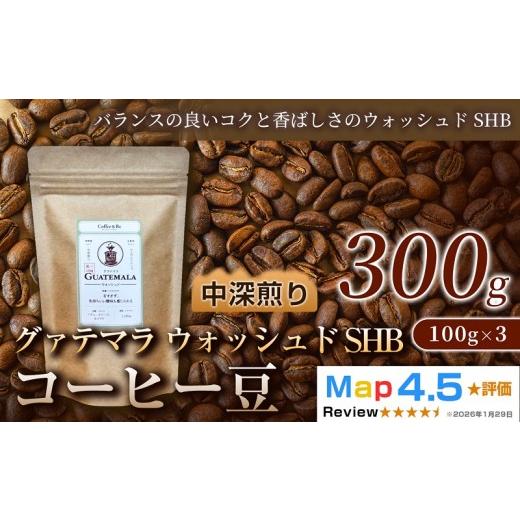 ふるさと納税 コーヒー コーヒー豆 埼玉県 加須市 グァテマラ(100g×3袋)×1セット (100g×3袋)×1セット