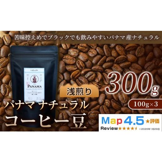 ふるさと納税 コーヒー コーヒー豆 埼玉県 加須市 パナマ(100g×3袋)×1セット (100g×3袋)×1セット