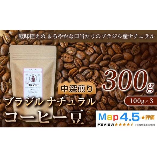 ふるさと納税 コーヒー コーヒー豆 埼玉県 加須市 ブラジル ナチュラル(100g×3袋)×1セット (100g×3袋)×1セット
