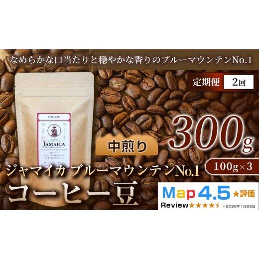 ふるさと納税 コーヒー コーヒー豆 埼玉県 加須市 定期便 ジャマイカ ブルーマウンテンNo.1 (100g×3袋)×全2回 定期便 (100g×3袋)×全2回