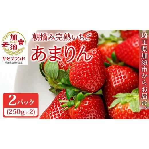 ふるさと納税 いちご 埼玉県 加須市 先行受付 「埼玉農業大賞特別賞」を受賞 完熟朝摘み あまりん 250g×2 (8粒〜15粒) 苺 イチゴ おおきい スイーツ あ…