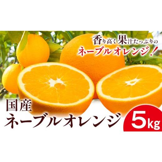 ふるさと納税 果物類 みかん 和歌山県 日高川町 国産ネーブルオレンジ 5kg エイワ商店[2月上旬-3月中旬頃出荷]和歌山県 日高川町 送料無料 ネーブルオレンジ…