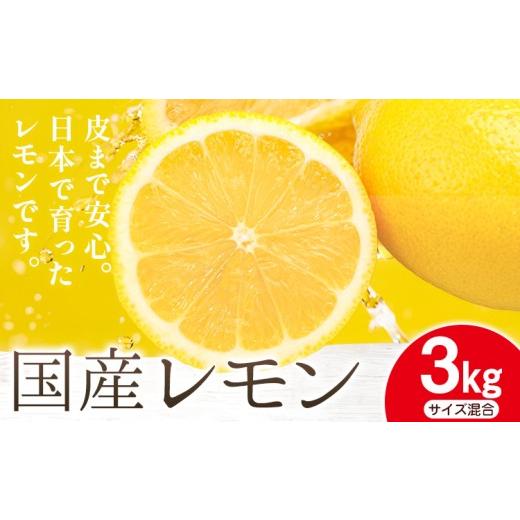 ふるさと納税 みかん・柑橘類 レモン 和歌山県 日高川町 国産レモン サイズ混合 3kg エイワ商店[2月上旬-3月下旬頃出荷]和歌山県 日高川町 送料無料 レモン …