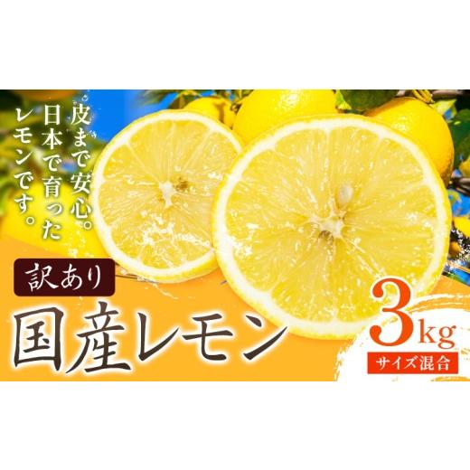ふるさと納税 みかん・柑橘類 レモン 和歌山県 日高川町 訳あり 国産 レモン サイズ混合 3kg エイワ商店[2月上旬-3月中旬頃出荷]和歌山県 日高川町 送料無料…