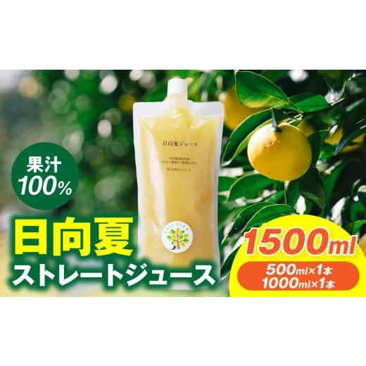 ふるさと納税 果汁飲料 宮崎県 宮崎市 日向夏ストレートジュース100%(500ml×1本、1000ml×1本セット)_M403-001-02 13,000円 計1500ml(500ml×1本、1000ml×…