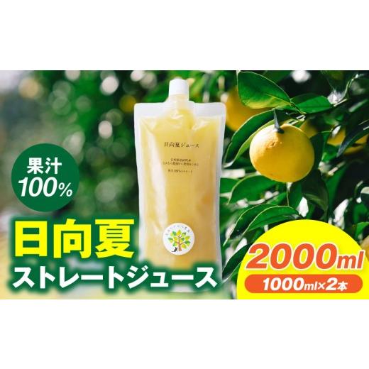 ふるさと納税 果汁飲料 宮崎県 宮崎市 日向夏ストレートジュース100%(1000ml×2本セット)_M403-001-01 15,000円 計2000ml(1000ml×2本)