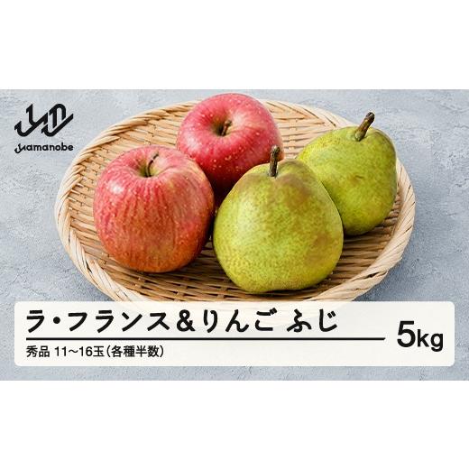 ふるさと納税 りんご 山形県 山辺町 [先行予約]2026年 山形県産 令和8年 ラ・フランス りんご 5kg 沖縄・離島への配送不可 ts-fslro5