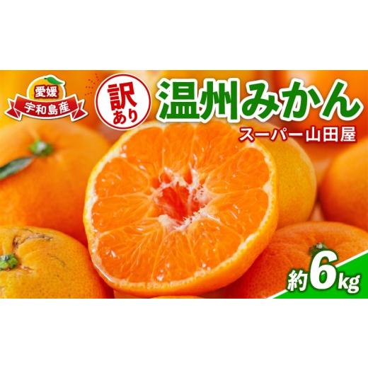 ふるさと納税 果物類 みかん 愛媛県 宇和島市 みかん 訳あり 温州みかん 約6kg スーパー山田屋 先行予約 温州 みかん 甘い 果物 くだもの フルーツ 柑橘 mikan…