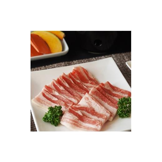 ふるさと納税 豚肉 焼肉・バーベキュー 千葉県 佐倉市 Judo's Meat 東の匠SPF豚焼肉用 豚バラ200g 1741071