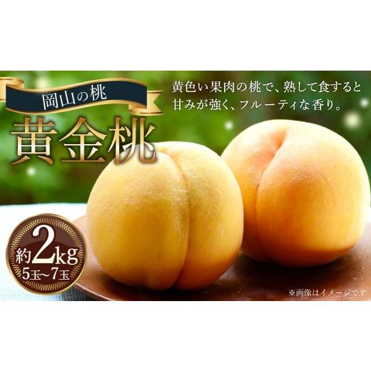 ふるさと納税 もも 岡山県 倉敷市 岡山の桃 黄金桃 5〜7玉 (約2kg) 2026年9月発送予定 黄肉 糖度 香り 果実 食感 くだもの 果物 フルーツ もも 桃 モモ ピー…