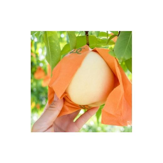 ふるさと納税 もも 岡山県 美作市 先行予約 岡山の白桃・約2kg(5〜9玉)7月下旬頃から9月上旬頃順次発送予定 1742410