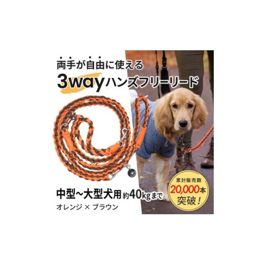 ふるさと納税 雑貨・日用品 静岡県 掛川市 犬用 3WAYハンズフリーリード(中型〜大型犬用) オレンジ×ブラウン ゴールデンママ 1743323