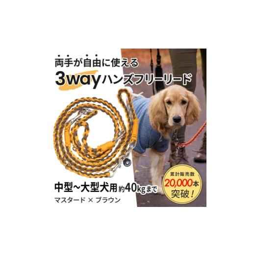 ふるさと納税 雑貨・日用品 静岡県 掛川市 犬用 3WAYハンズフリーリード(中型〜大型犬用)マスタード×ブラウン ゴールデンママ 1743324
