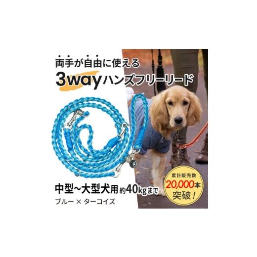 ふるさと納税 雑貨・日用品 静岡県 掛川市 犬用 3WAYハンズフリーリード(中型〜大型犬用)ブルー×ターコイズ ゴールデンママ 1743332