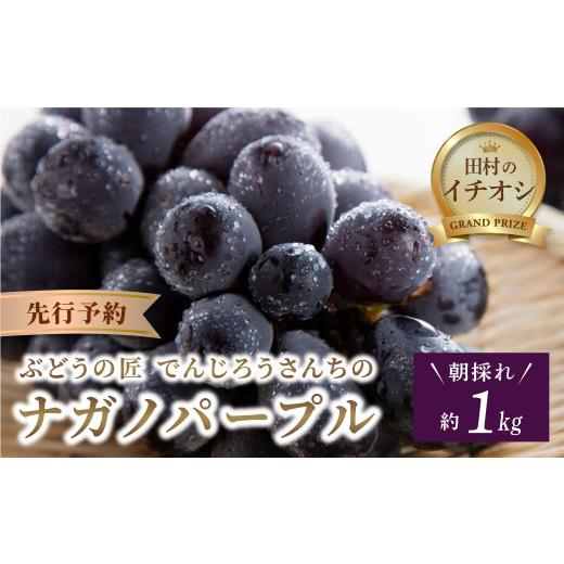 ふるさと納税 果物類 ぶどう 福島県 田村市 先行予約 ナガノパープル 1kg 冷蔵 高級 種無し 種なし ブドウ ぶどう 品種 果物 甘さ 大粒 美味しい 食べ方 人気…