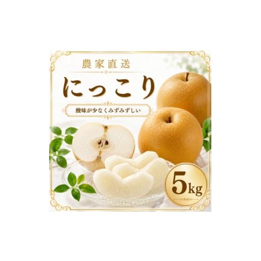 ふるさと納税 梨 茨城県 かすみがうら市 にっこり 梨 5kg (8〜12玉) 2026年発送 かすみがうら市 1743818