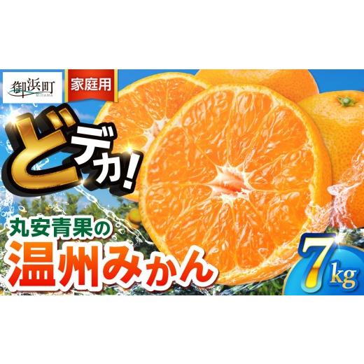 ふるさと納税 果物類 みかん 三重県 御浜町 丸安青果のどデカイ温州みかん7キロ(家庭用) 果物 フルーツ 訳あり 家庭用 蜜柑 みかん 温州みかん 7kg 三重県 …