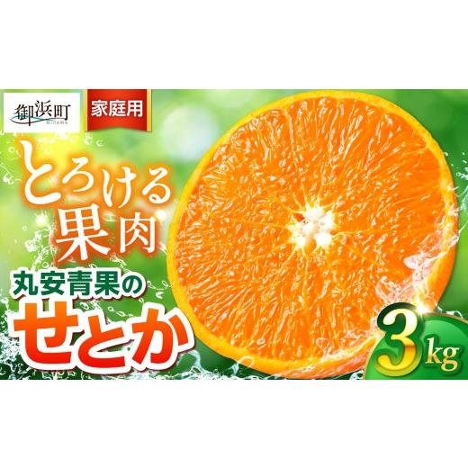 ふるさと納税 果物類 みかん 三重県 御浜町 2027年発送先行予約品 丸安青果のせとか3キロ(家庭用) 果物 フルーツ 訳あり 家庭用 蜜柑 みかん せとか 3kg 三…